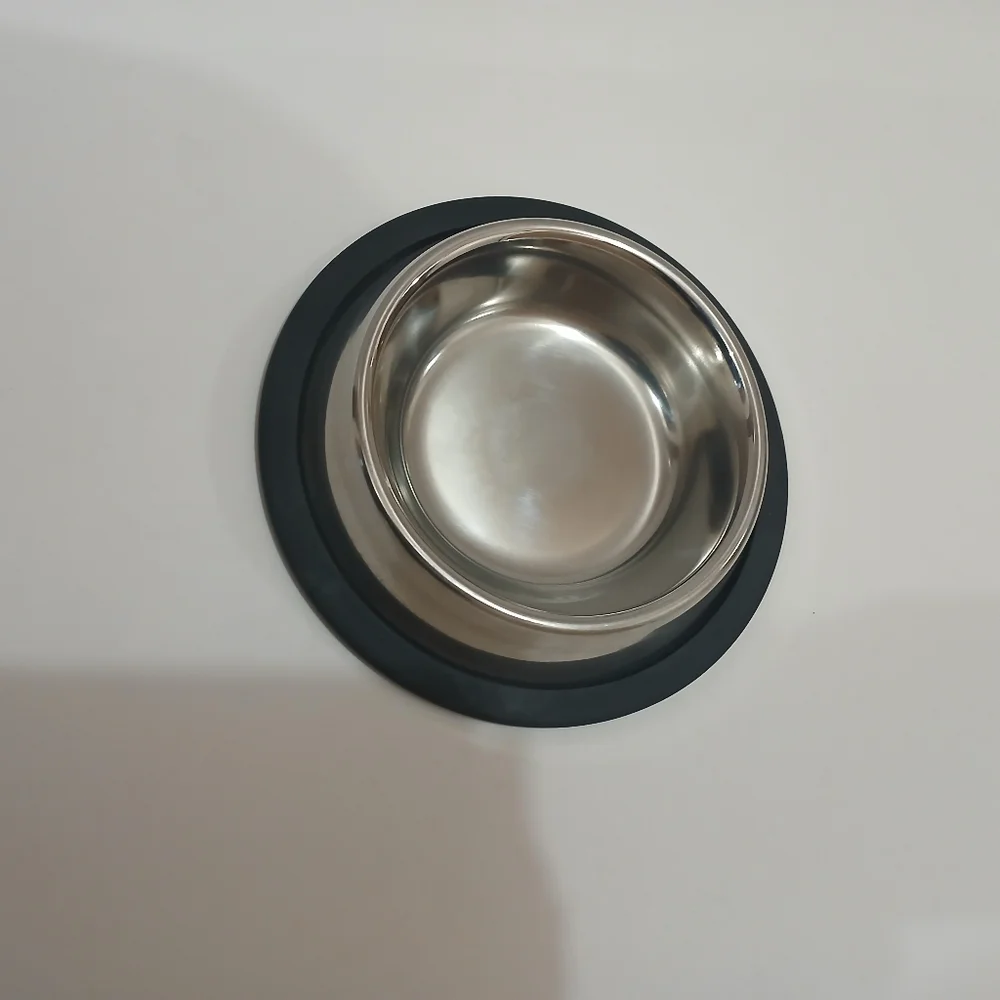 Stainless Steel Pet Bowl with Black Base